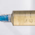 Organic Italian Oyster Mushroom Liquid Culture Syringe